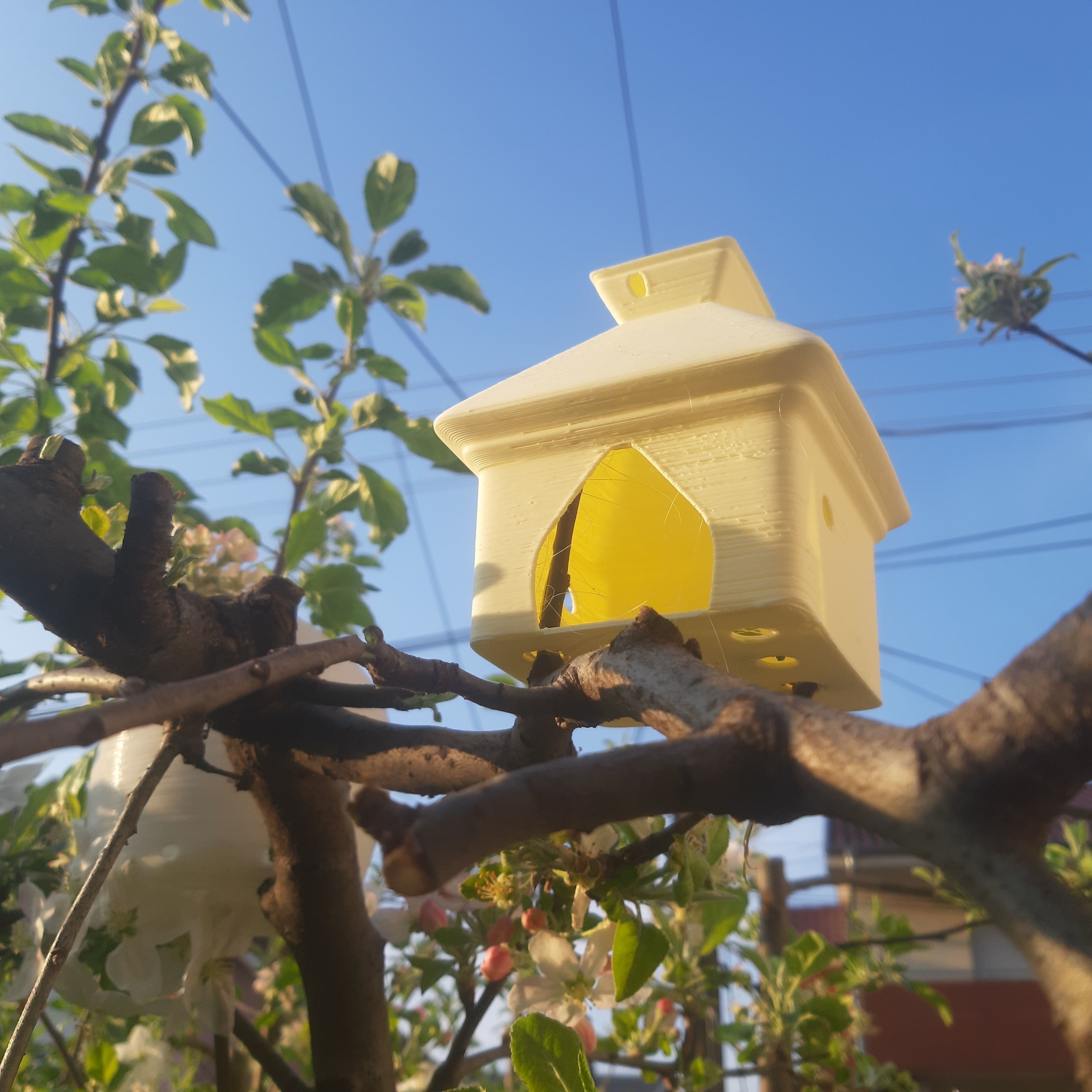 Birdhouse Smol Free 3D print model_1