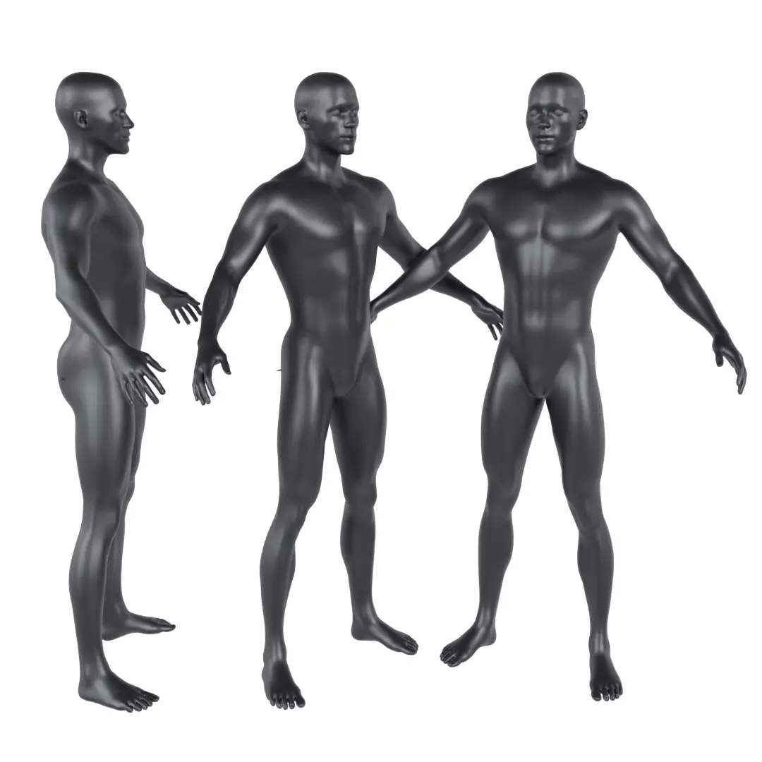 Human Male Base Free 3D model
