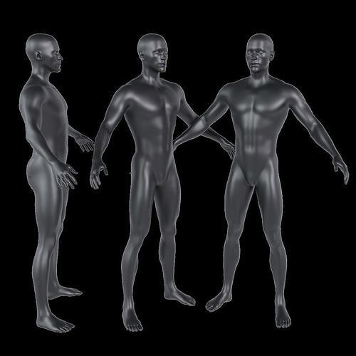 Human Male Base Free 3D model