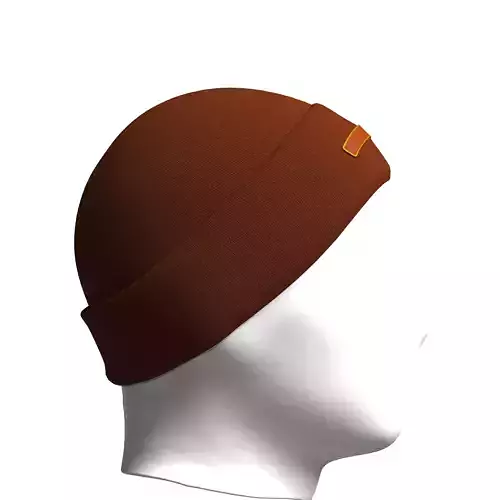 Beanie02 3d Model