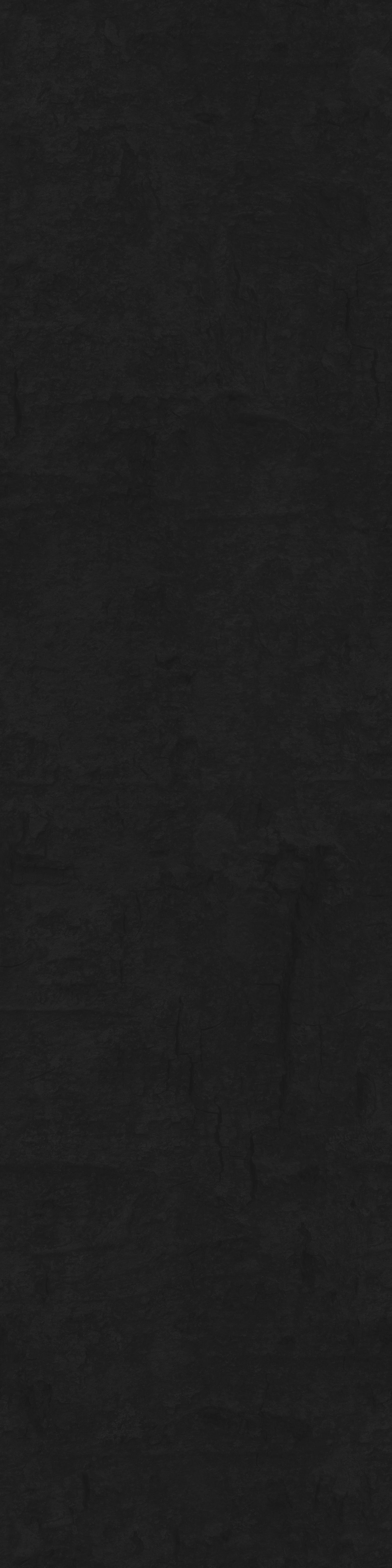 Chukrasia tabularis 3D model_8