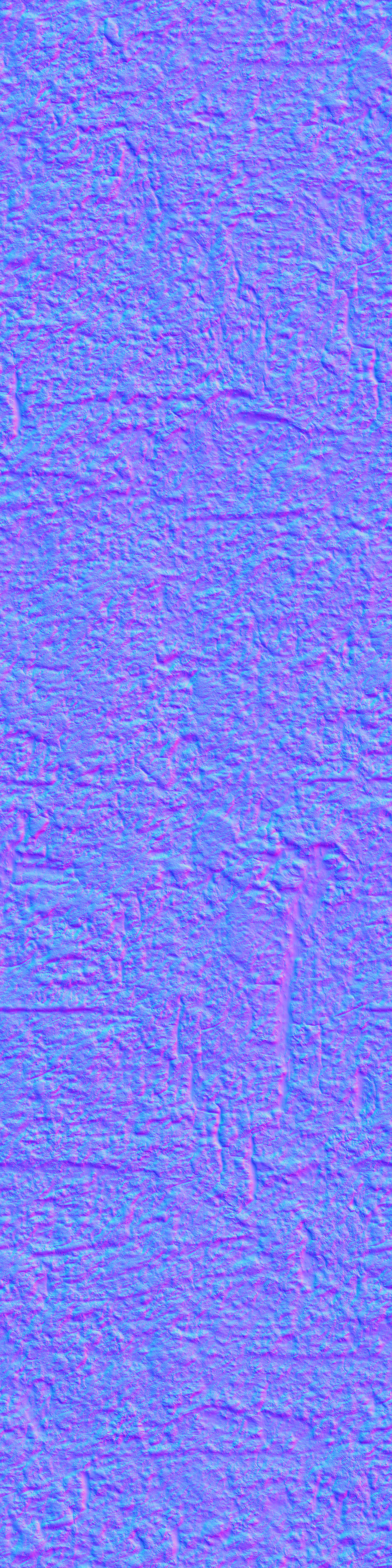 Chukrasia tabularis 3D model_12