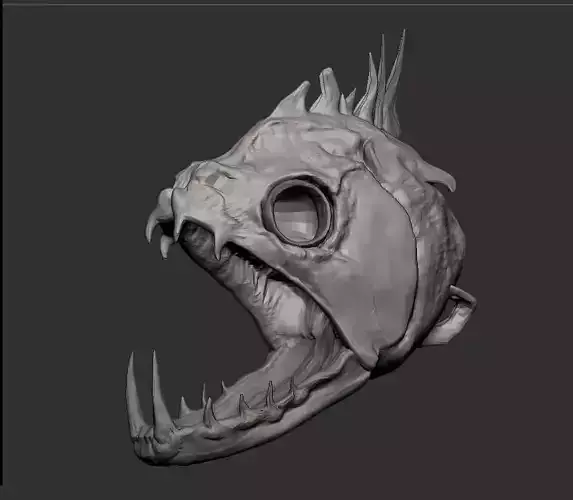 Payara Fish Vampire Fish Skull Head