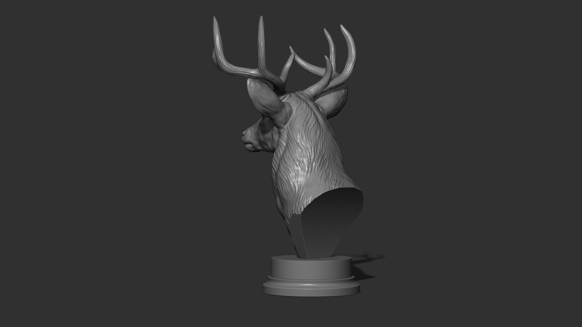 White tailed deer bust 3D print model_10