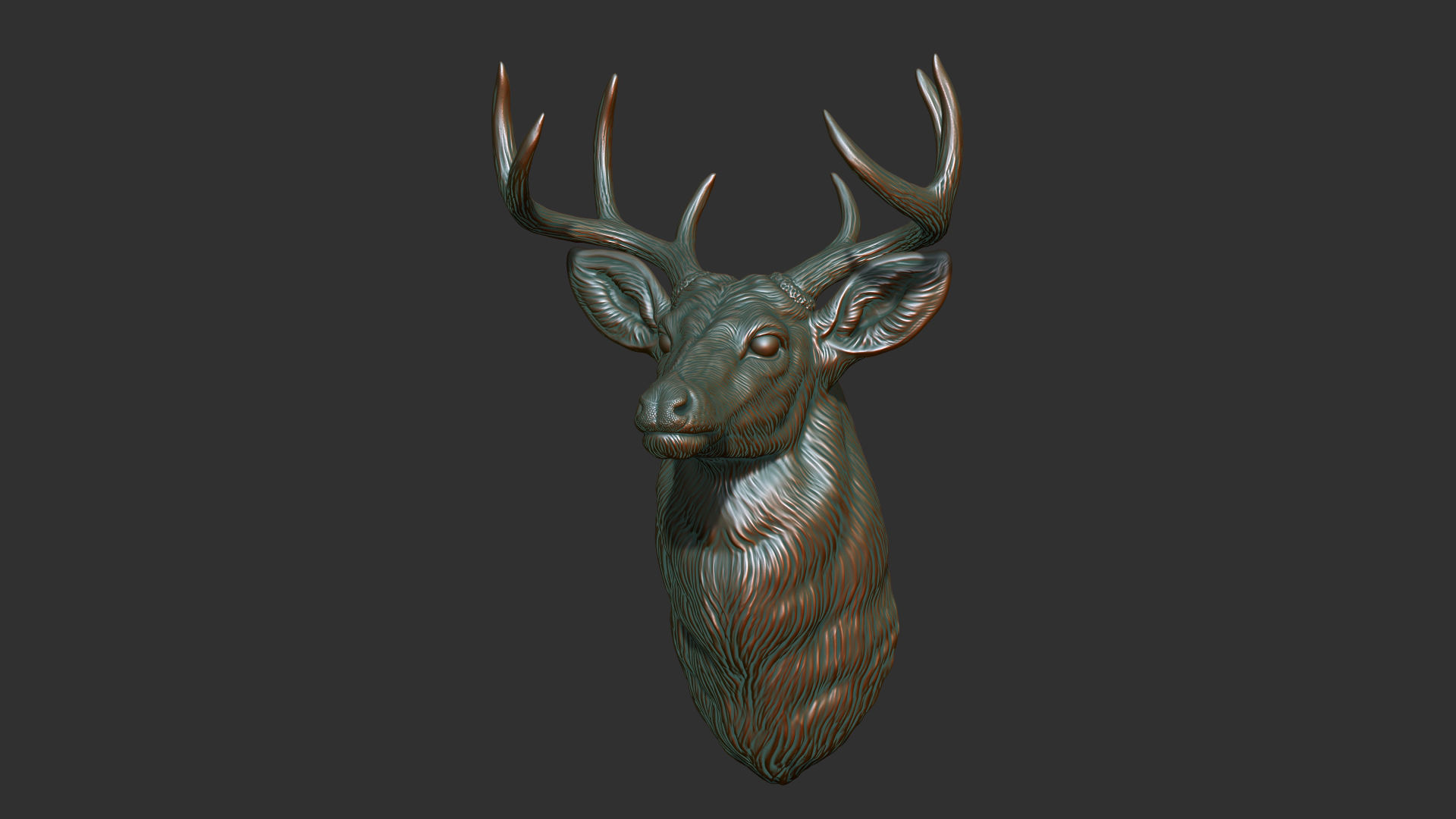 White tailed deer bust 3D print model_27