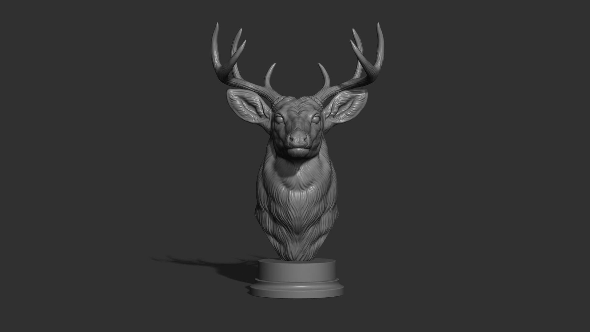 White tailed deer bust 3D print model_8