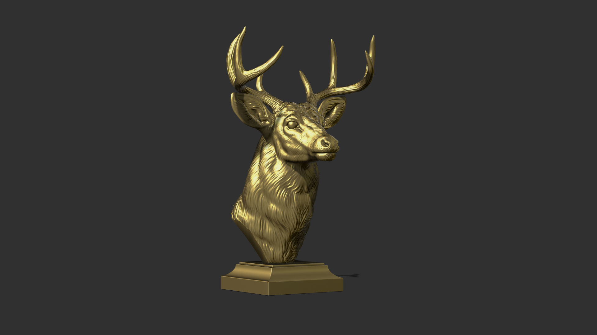 White tailed deer bust 3D print model_17