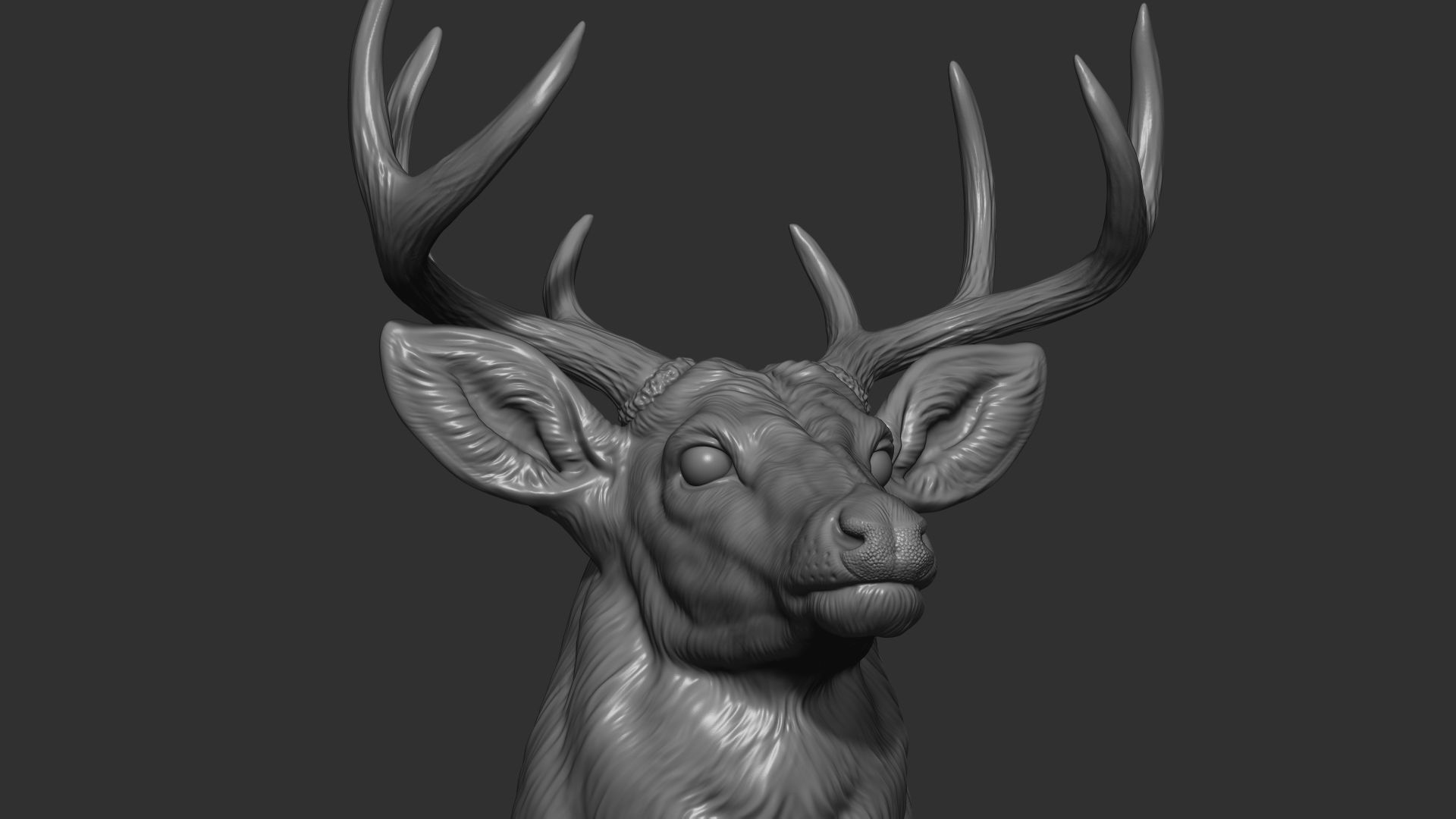 White tailed deer bust 3D print model_1
