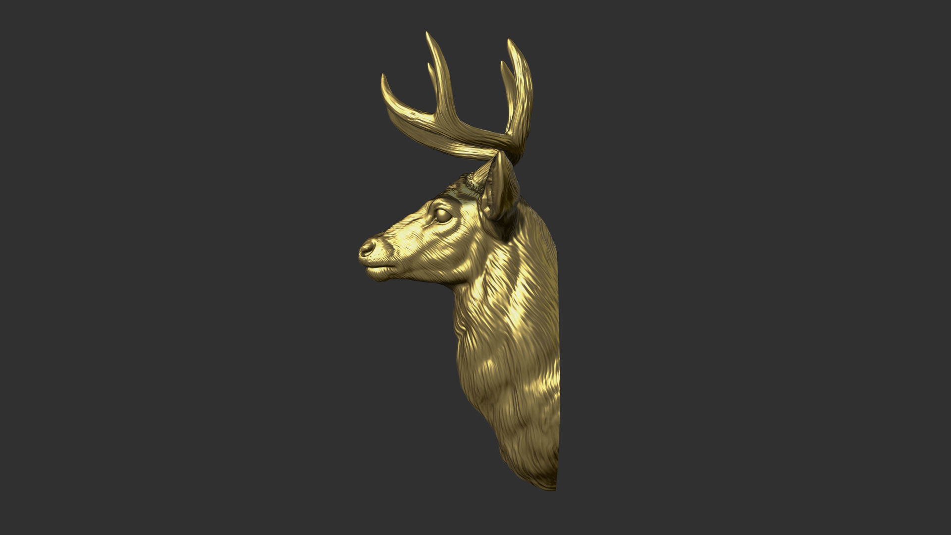 White tailed deer bust 3D print model_26