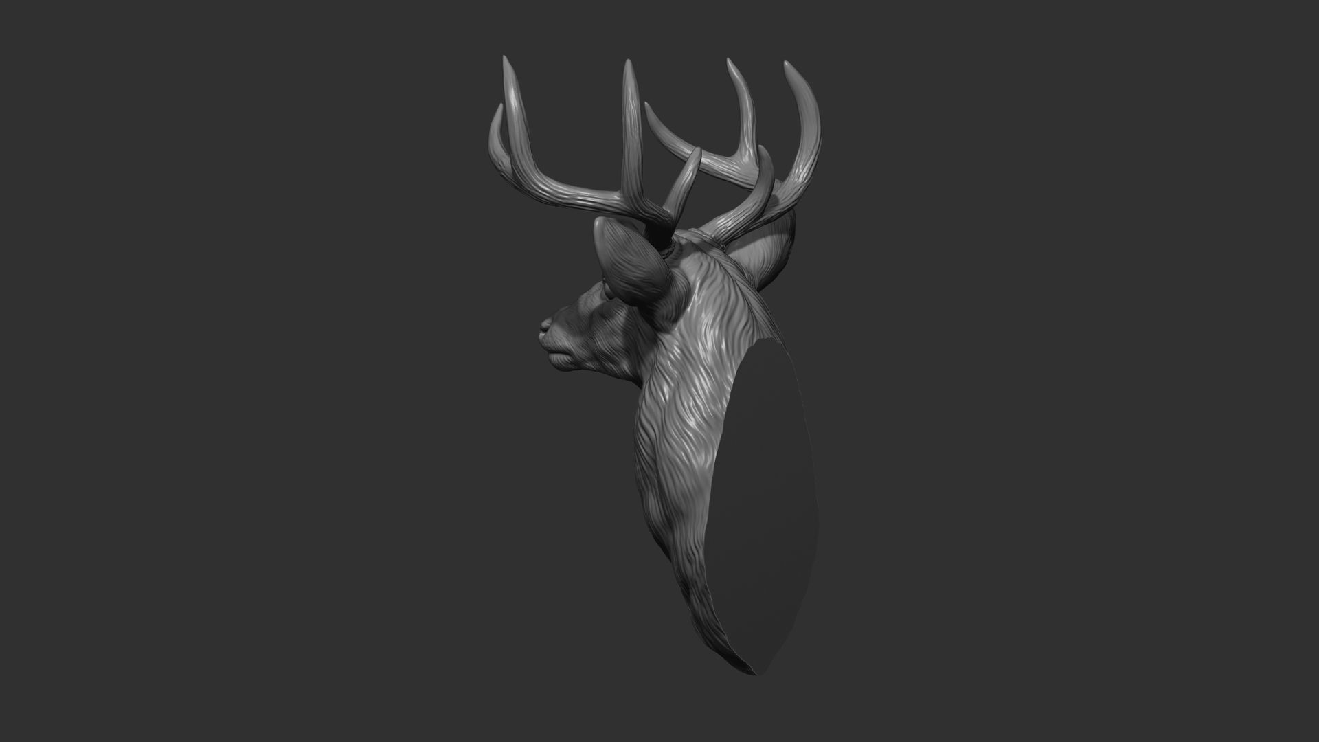 White tailed deer bust 3D print model_21