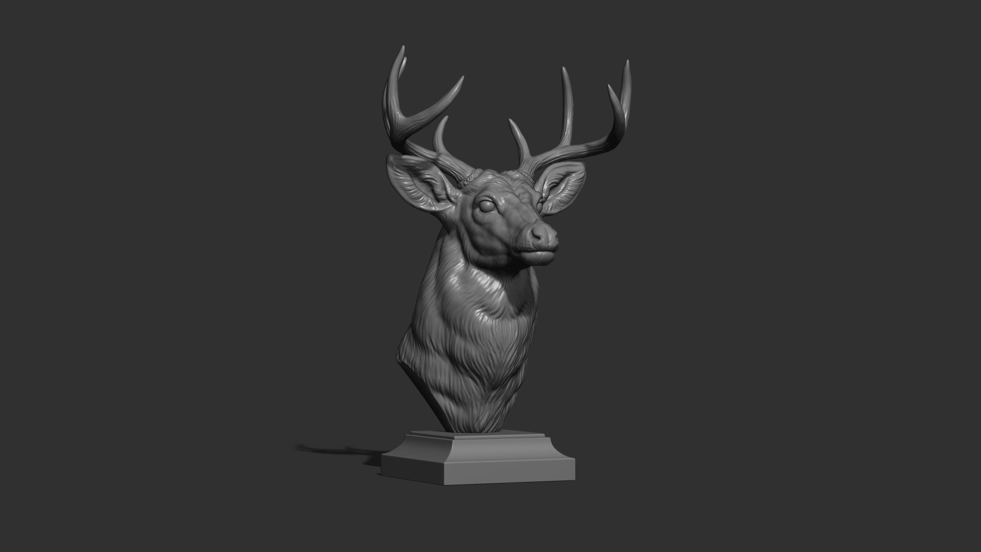 White tailed deer bust 3D print model_13
