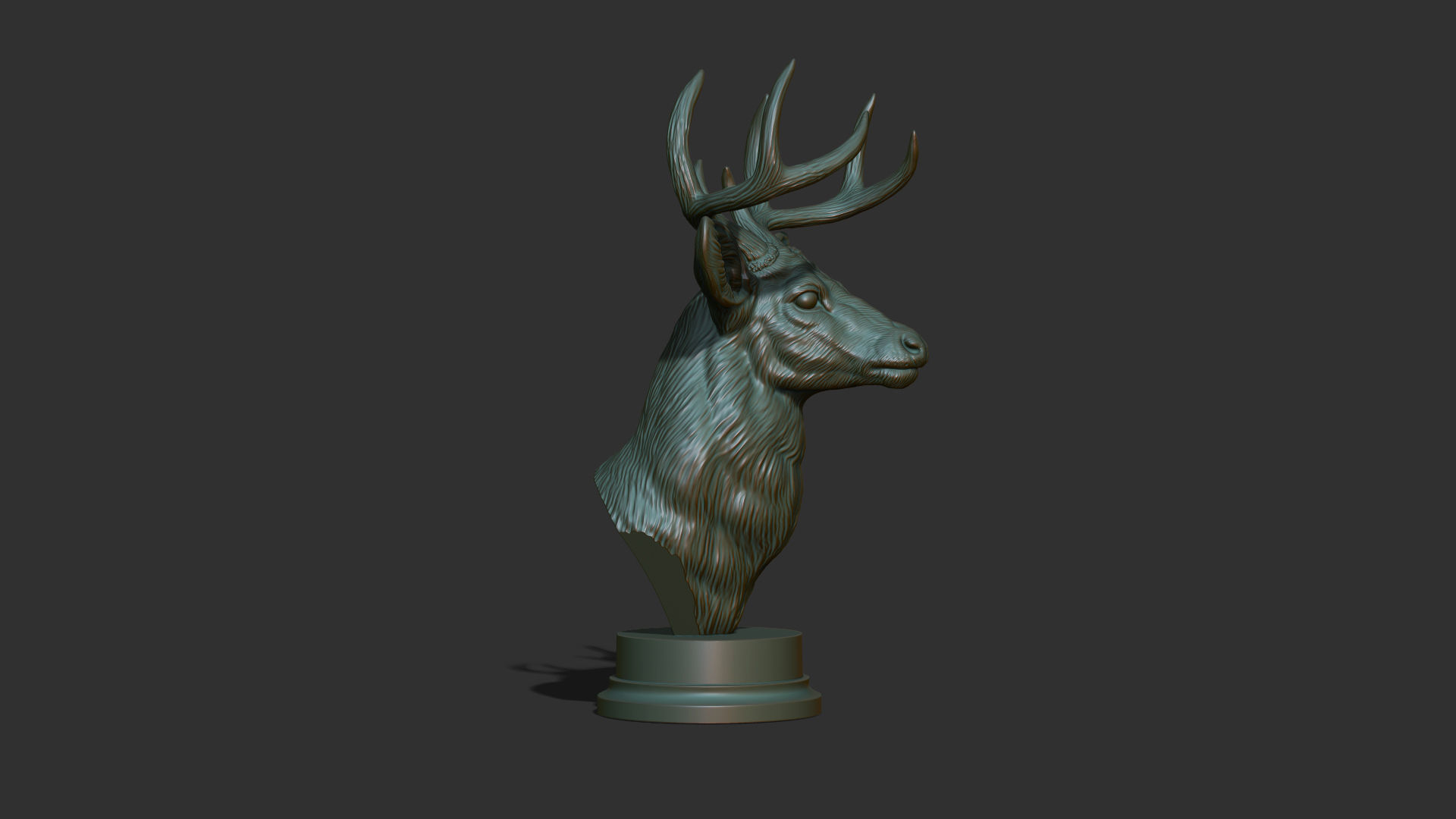 White tailed deer bust 3D print model_5