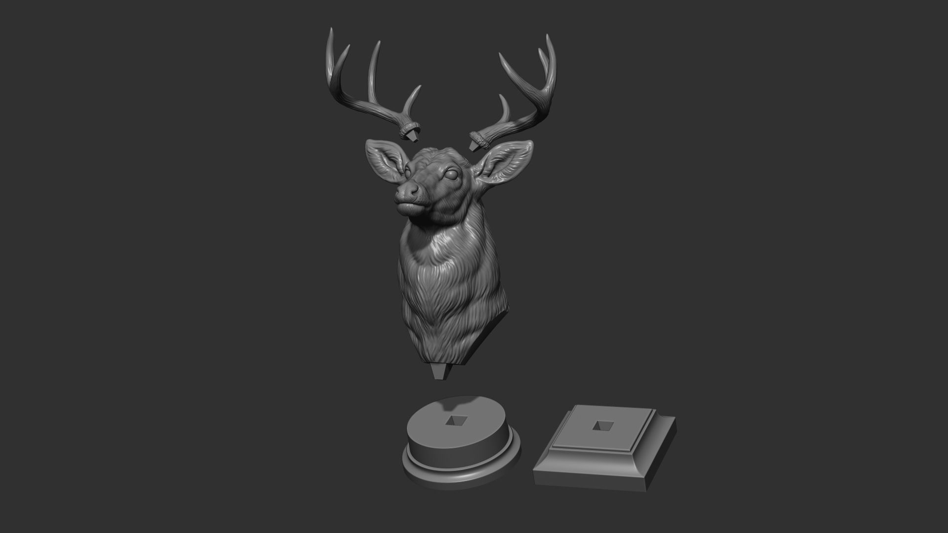 White tailed deer bust 3D print model_19