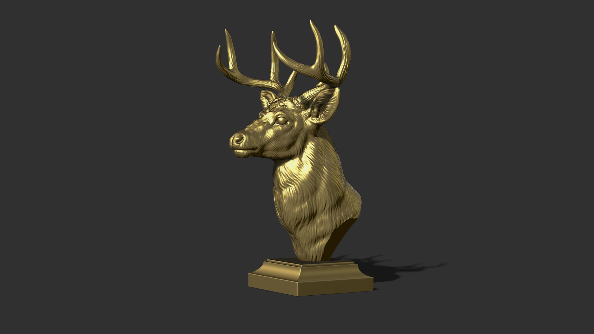 White tailed deer bust 3D print model_18