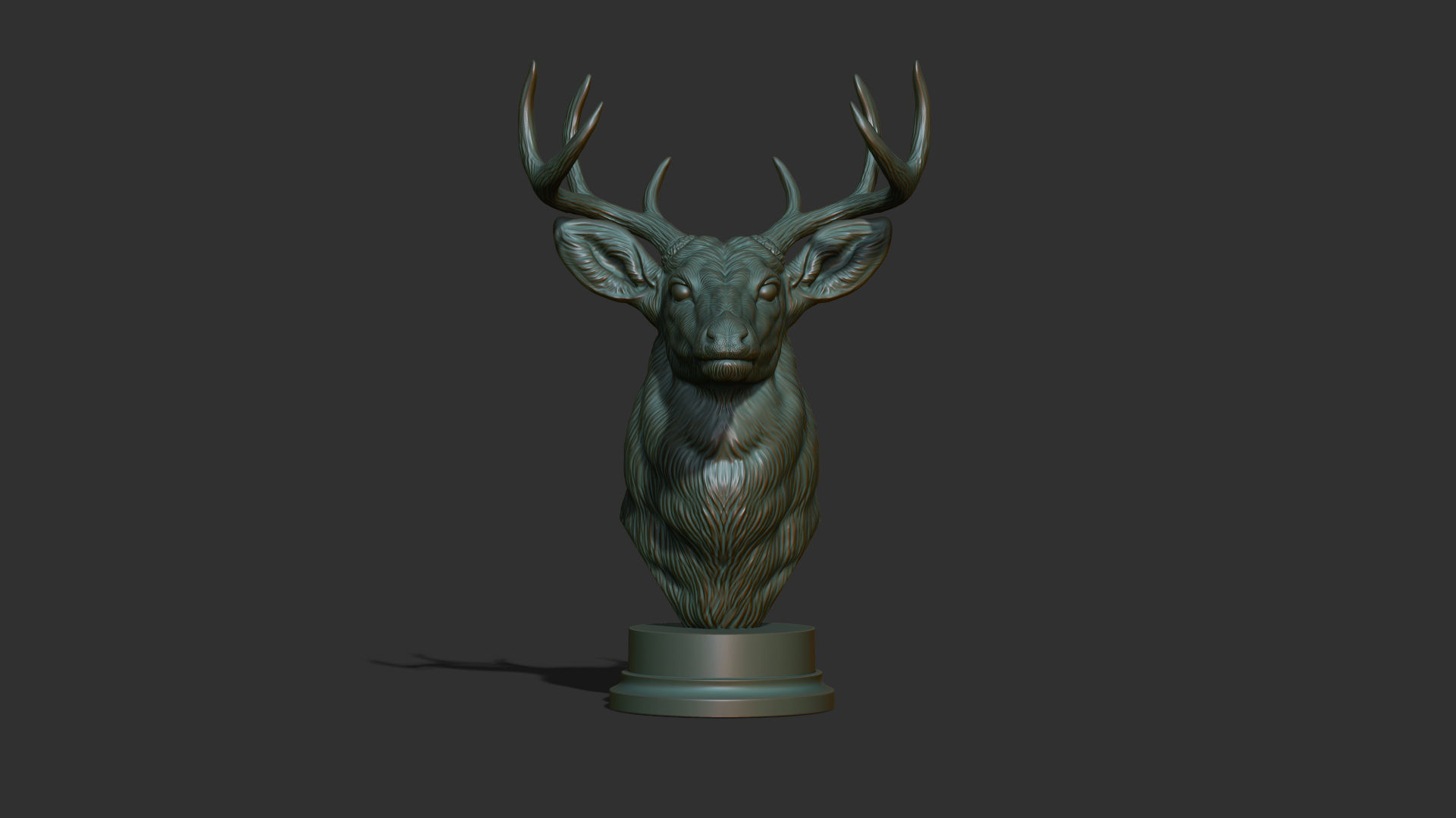 White tailed deer bust 3D print model_4