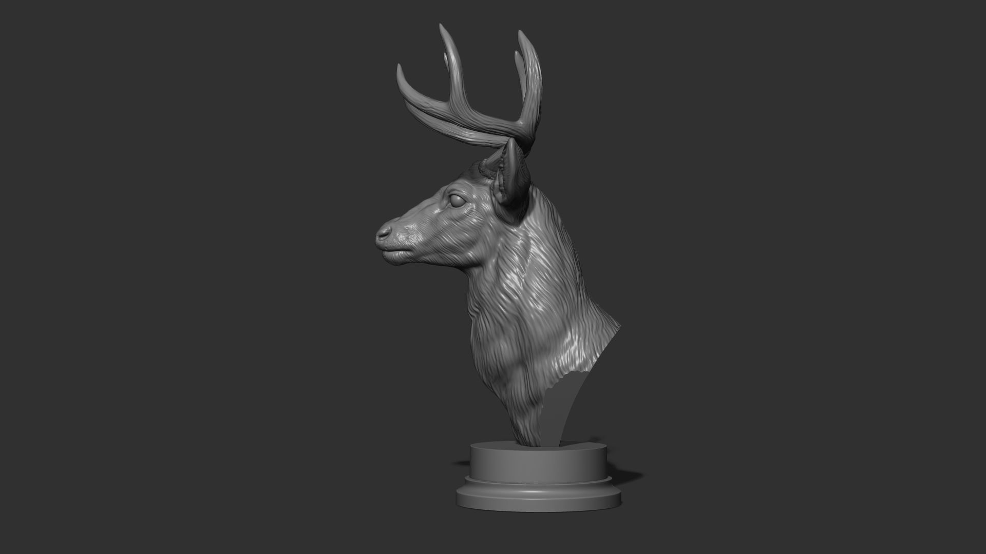White tailed deer bust 3D print model_9