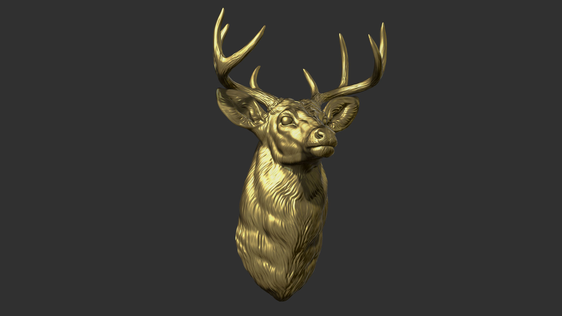 White tailed deer bust 3D print model_25