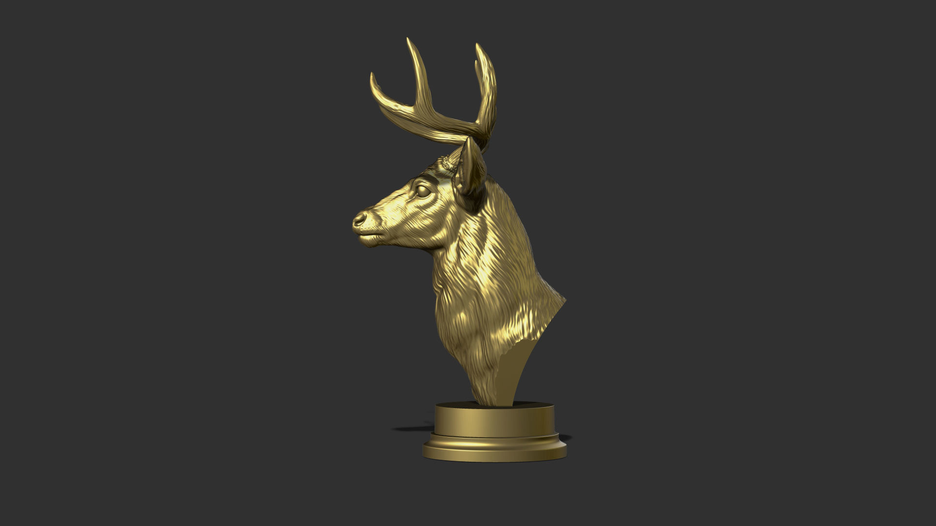 White tailed deer bust 3D print model_3