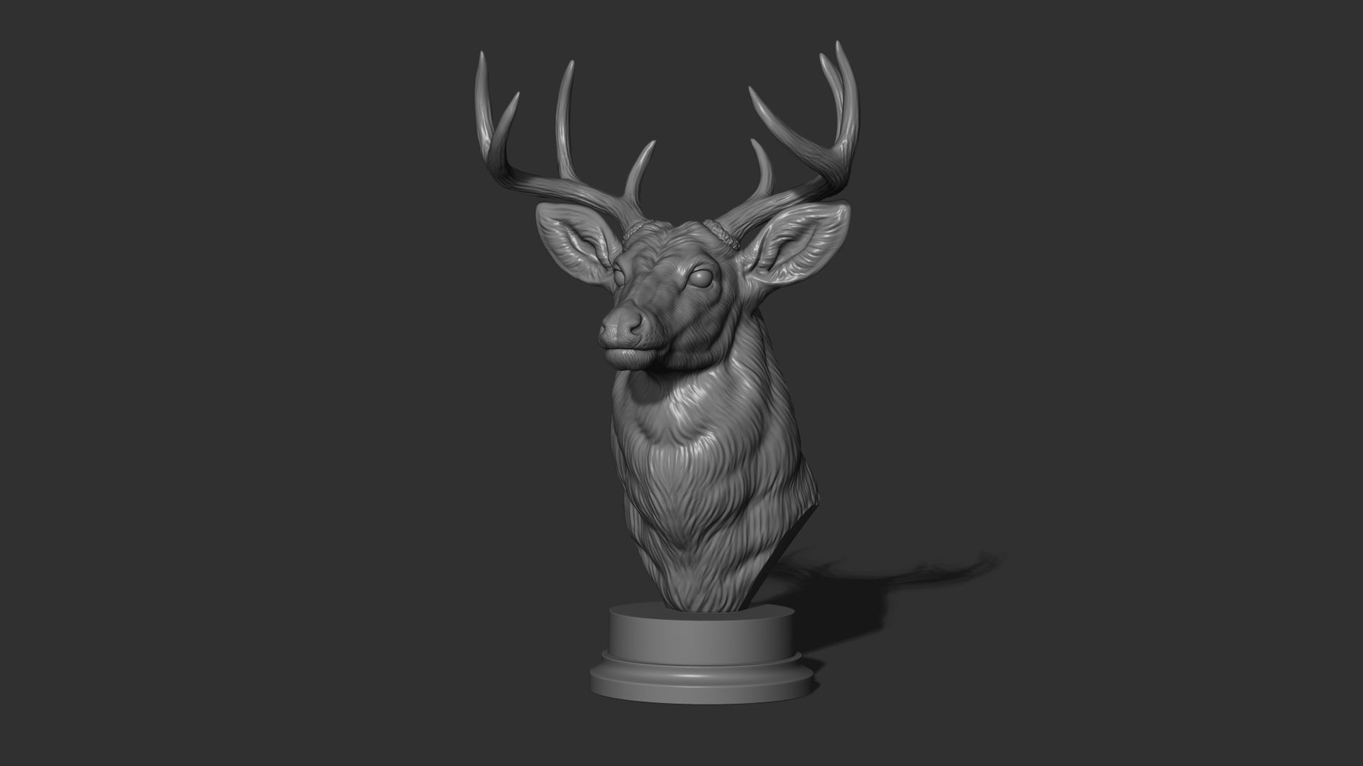 White tailed deer bust 3D print model_7