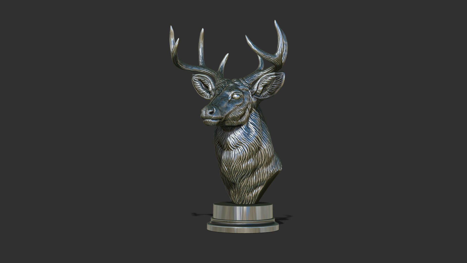 White tailed deer bust 3D print model_6