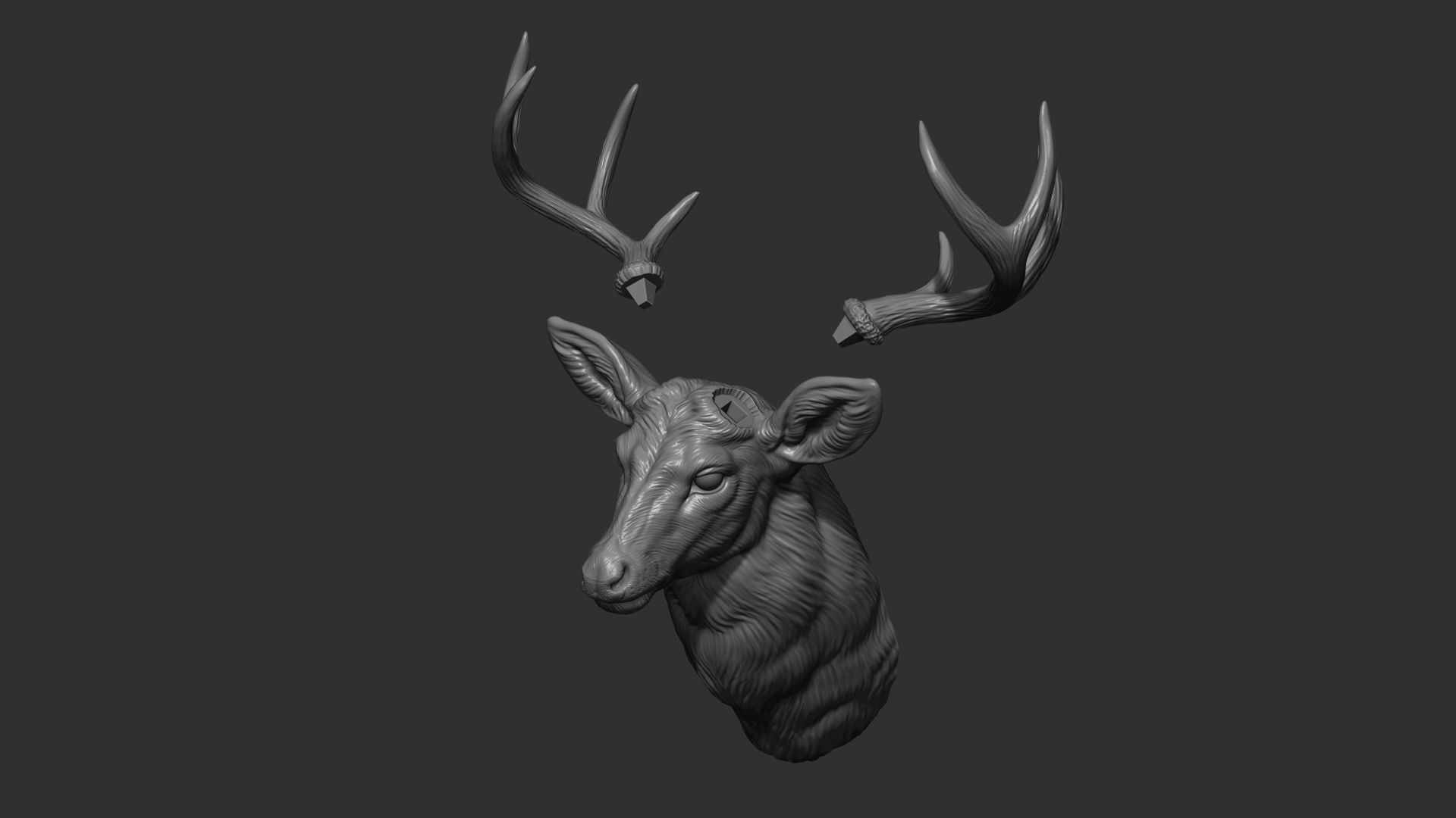 White tailed deer bust 3D print model_28