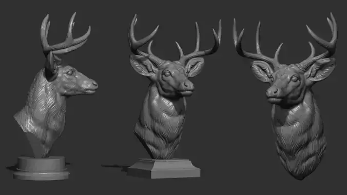 White tailed deer bust 3D print model