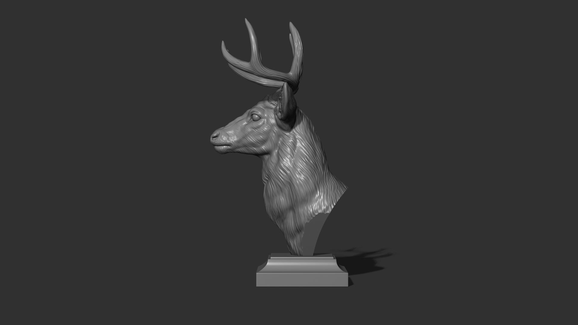 White tailed deer bust 3D print model_12