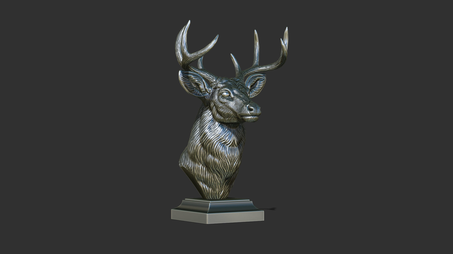White tailed deer bust 3D print model_16