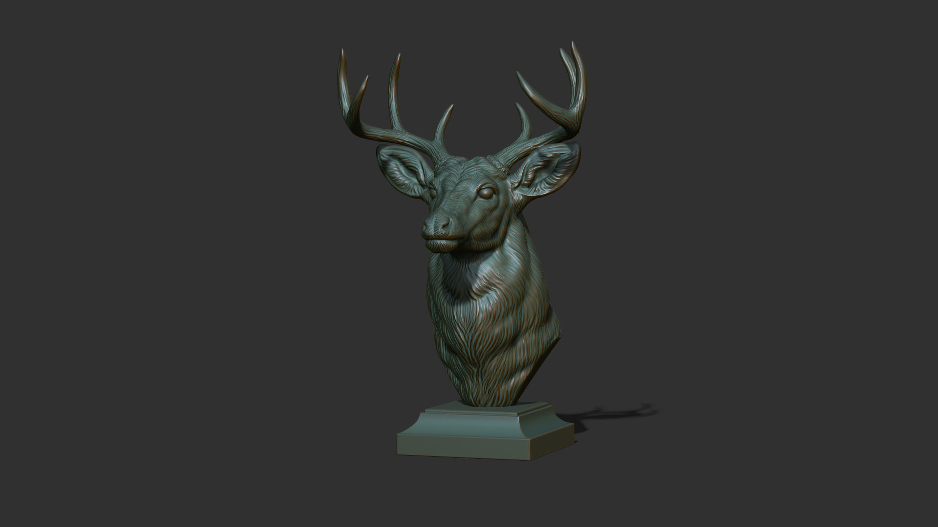 White tailed deer bust 3D print model_14