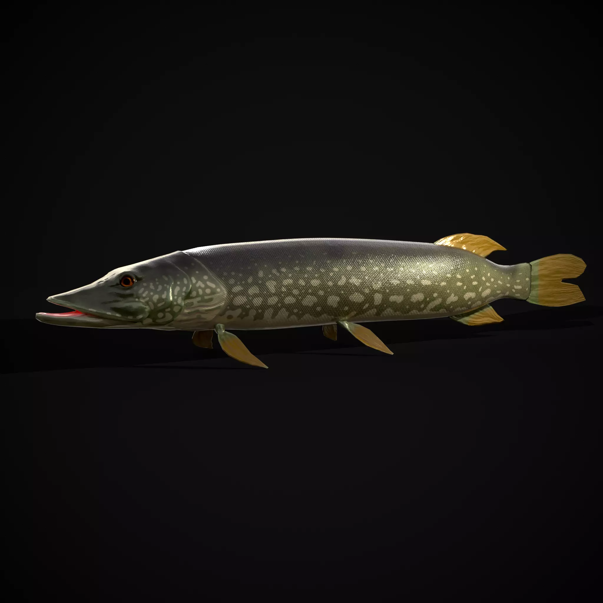 Northern Spotted Pike Low-poly 3D model_0