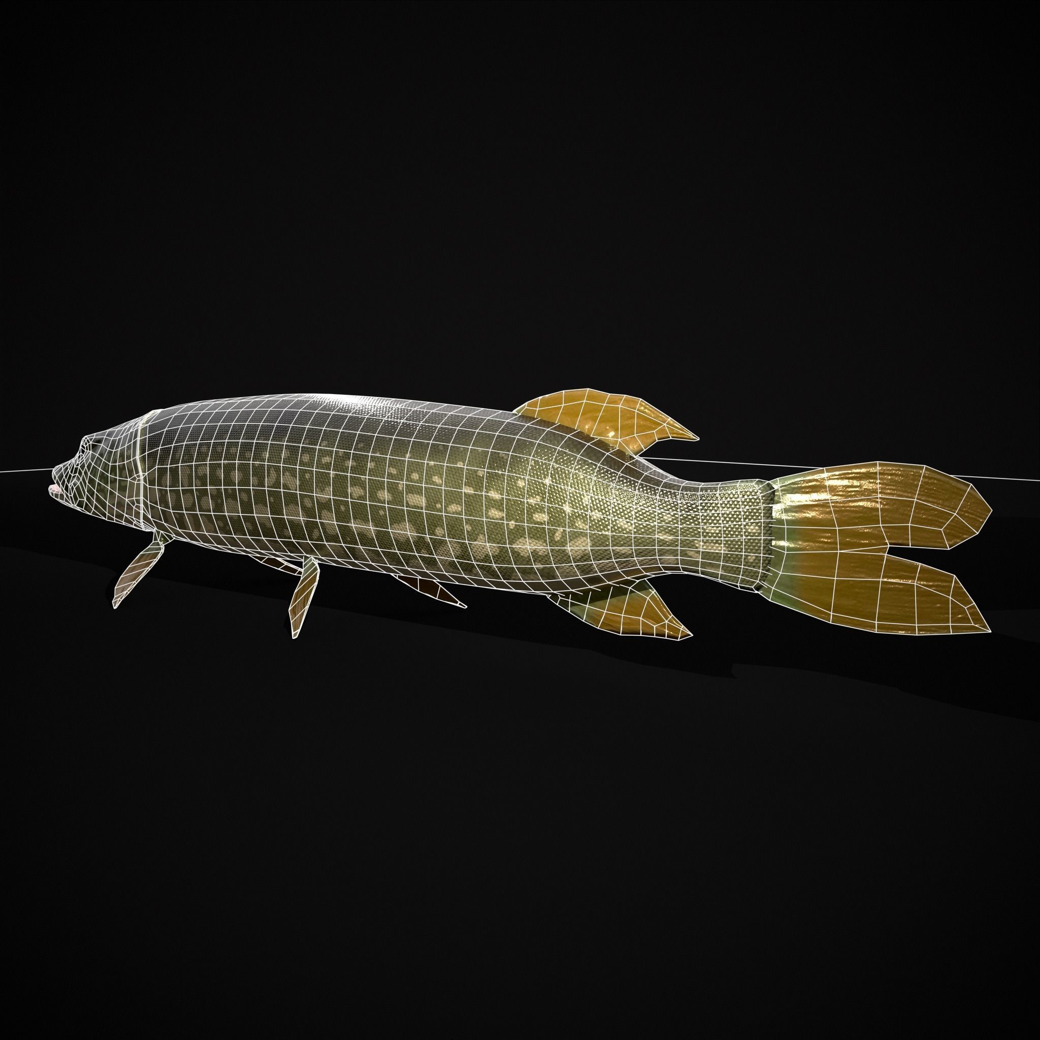 Northern Spotted Pike Low-poly 3D model_6