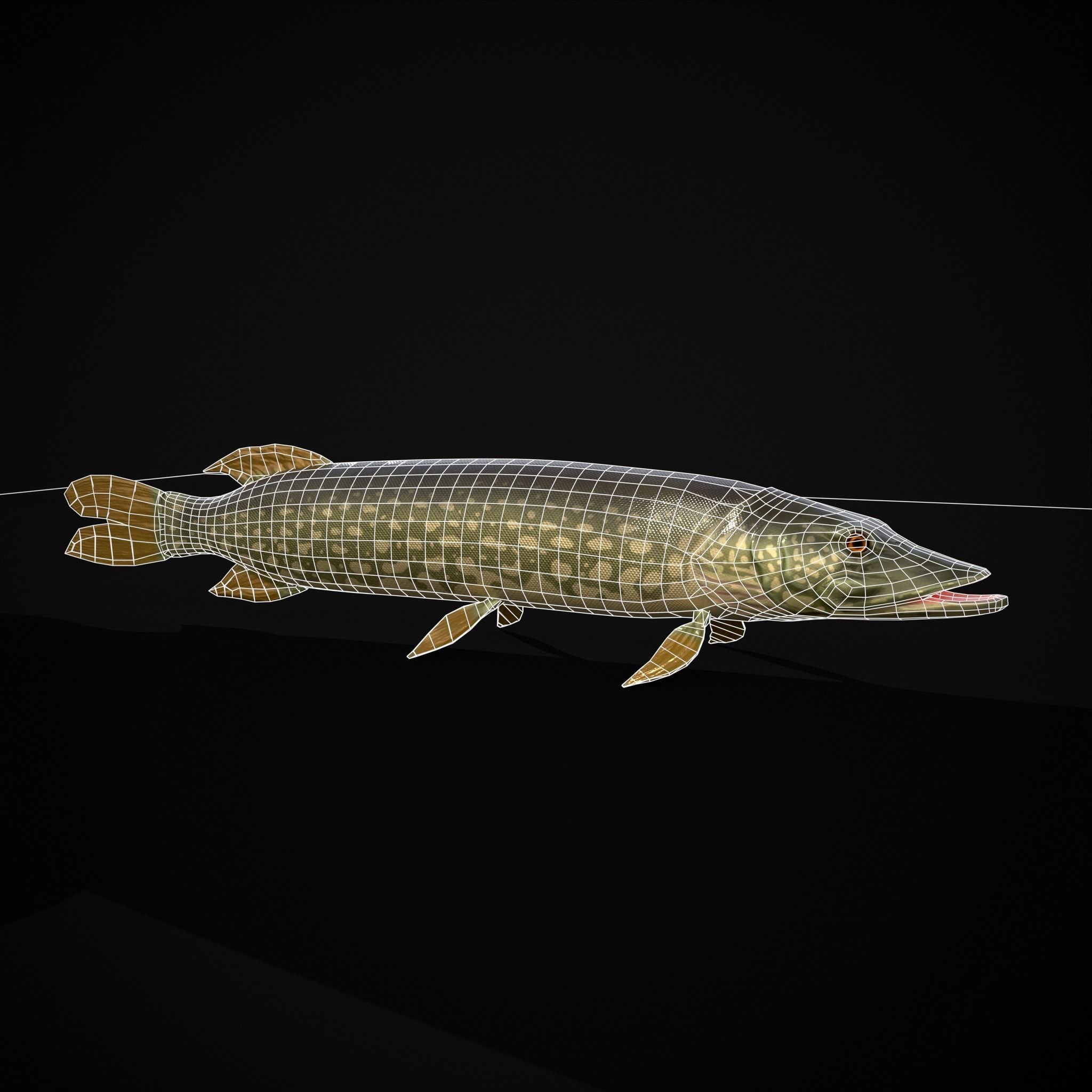 Northern Spotted Pike Low-poly 3D model_8