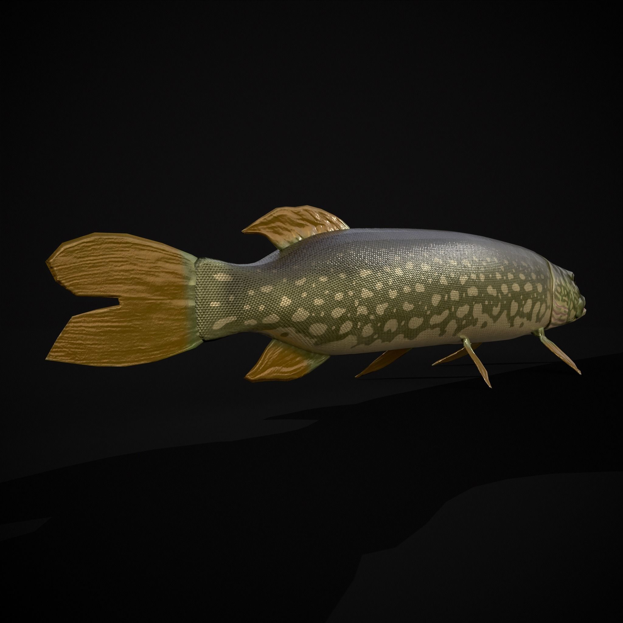 Northern Spotted Pike Low-poly 3D model_17