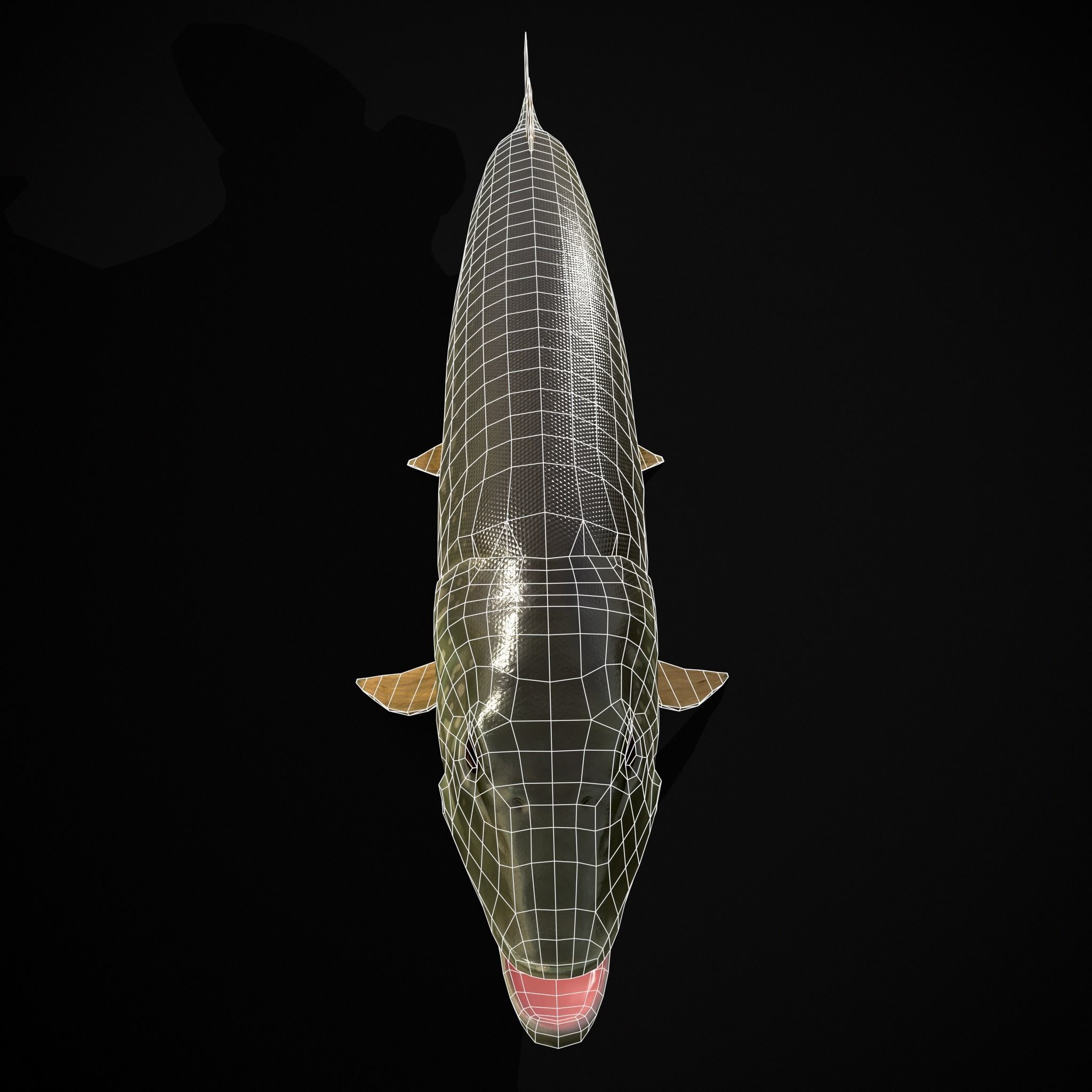 Northern Spotted Pike Low-poly 3D model_10