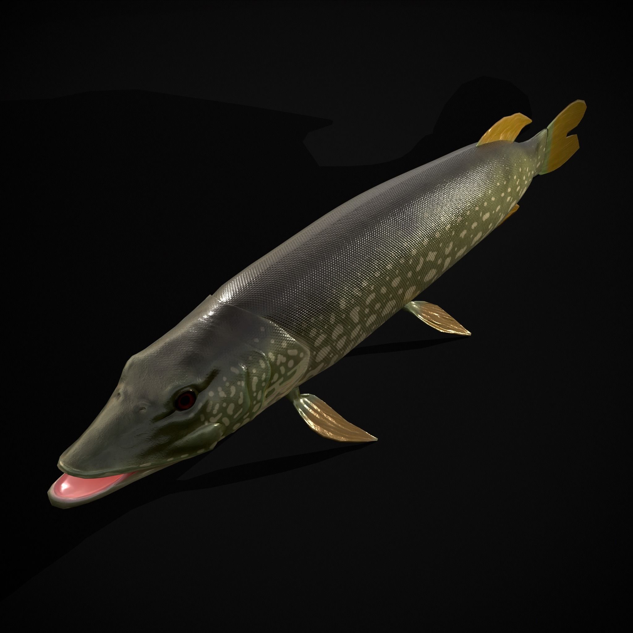 Northern Spotted Pike Low-poly 3D model_13
