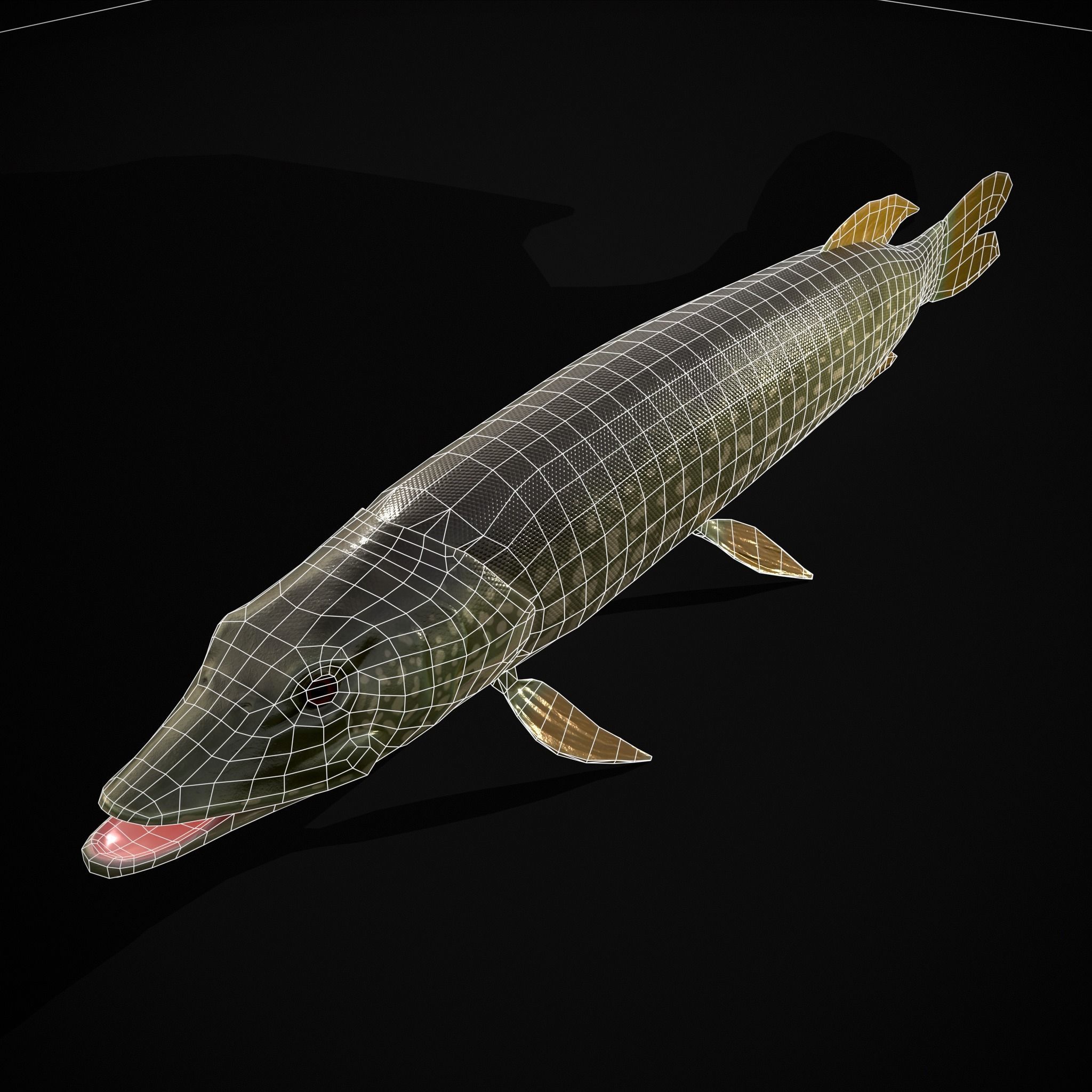 Northern Spotted Pike Low-poly 3D model_14
