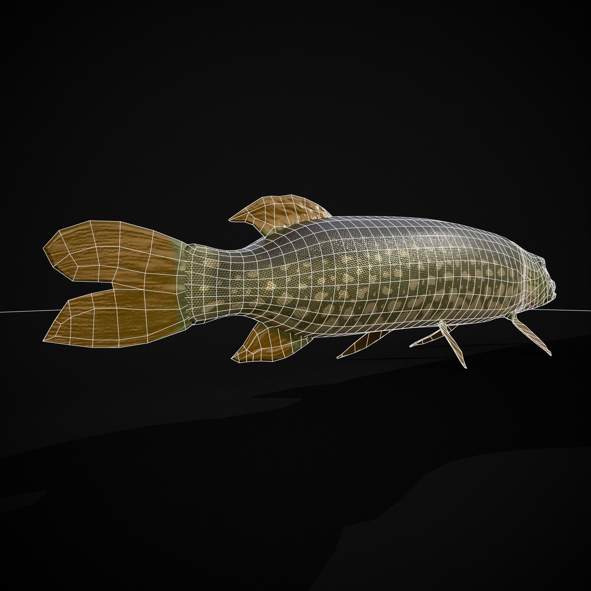 Northern Spotted Pike Low-poly 3D model_18