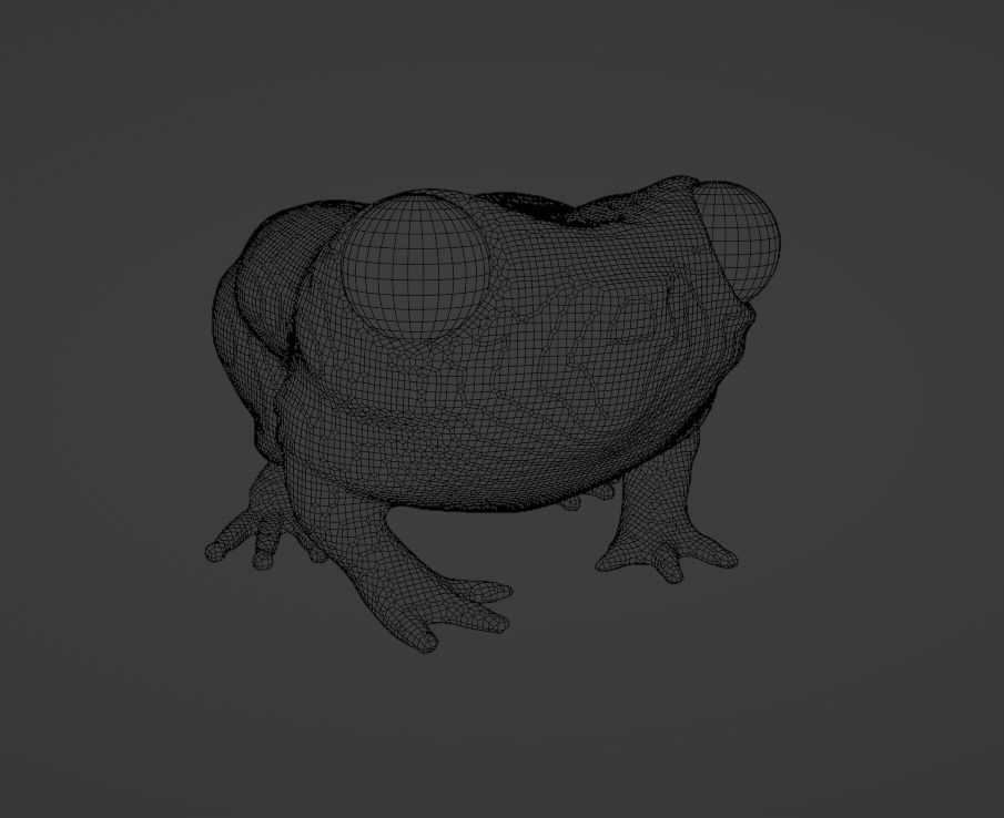 frog low poly Low-poly 3D model_4