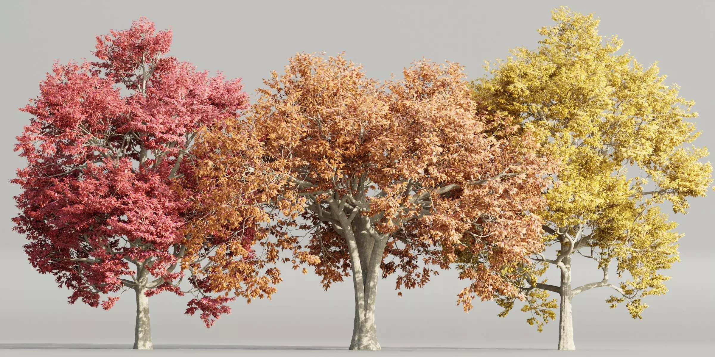 Autumn Maple Trees Collection vol 147-Blender 3D model_0