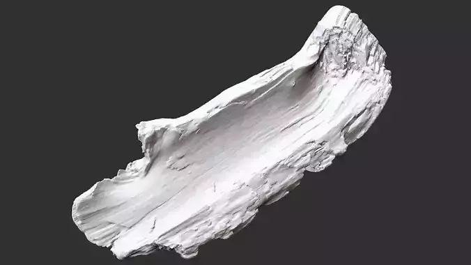 Tree trunk 3d scan in highpoly