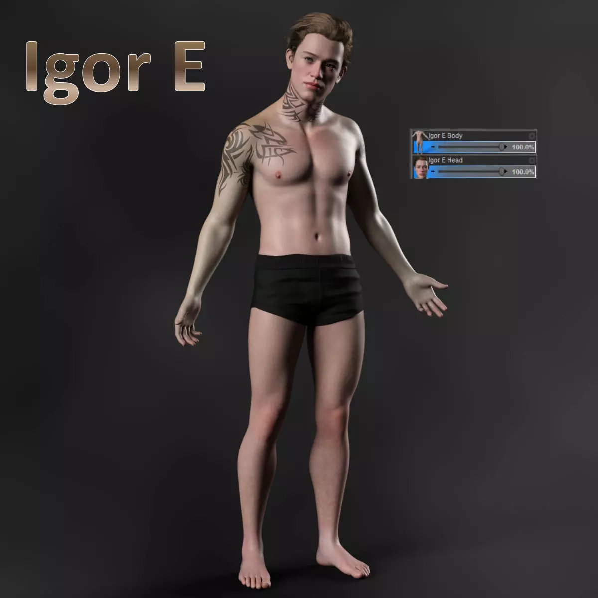 Igor E Hihgh Quality Textures For Genesis 9 3D model_0