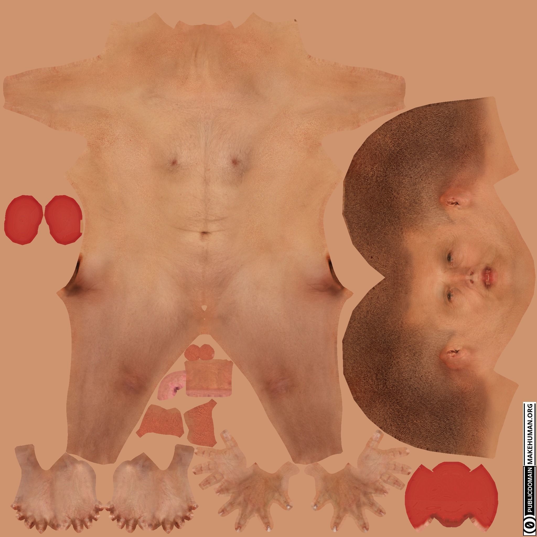 old male model Low-poly 3D model_3