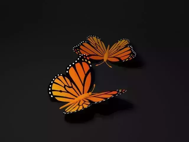Butterfly
