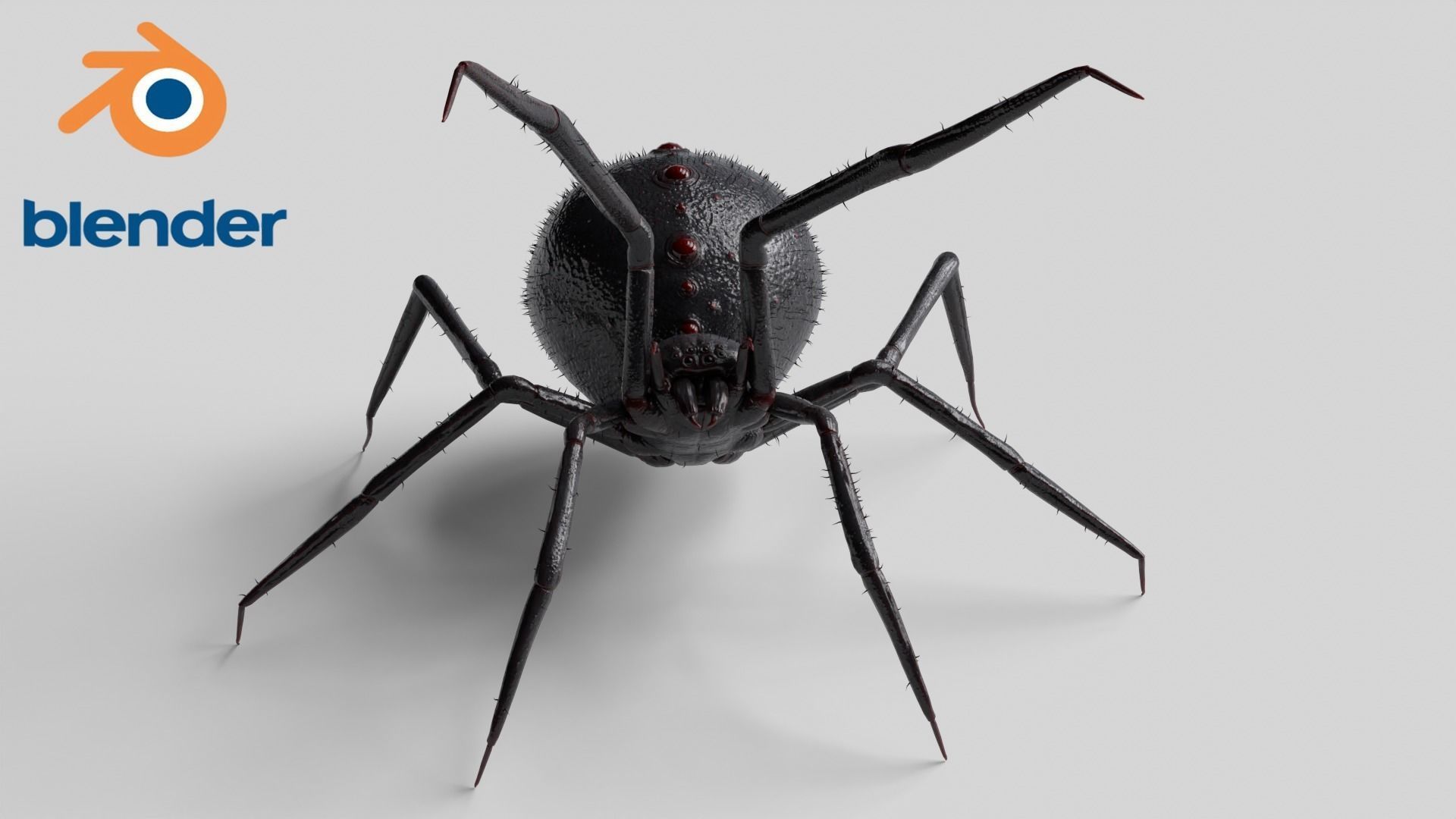 Spider 3 poses Low-poly 3D model_9