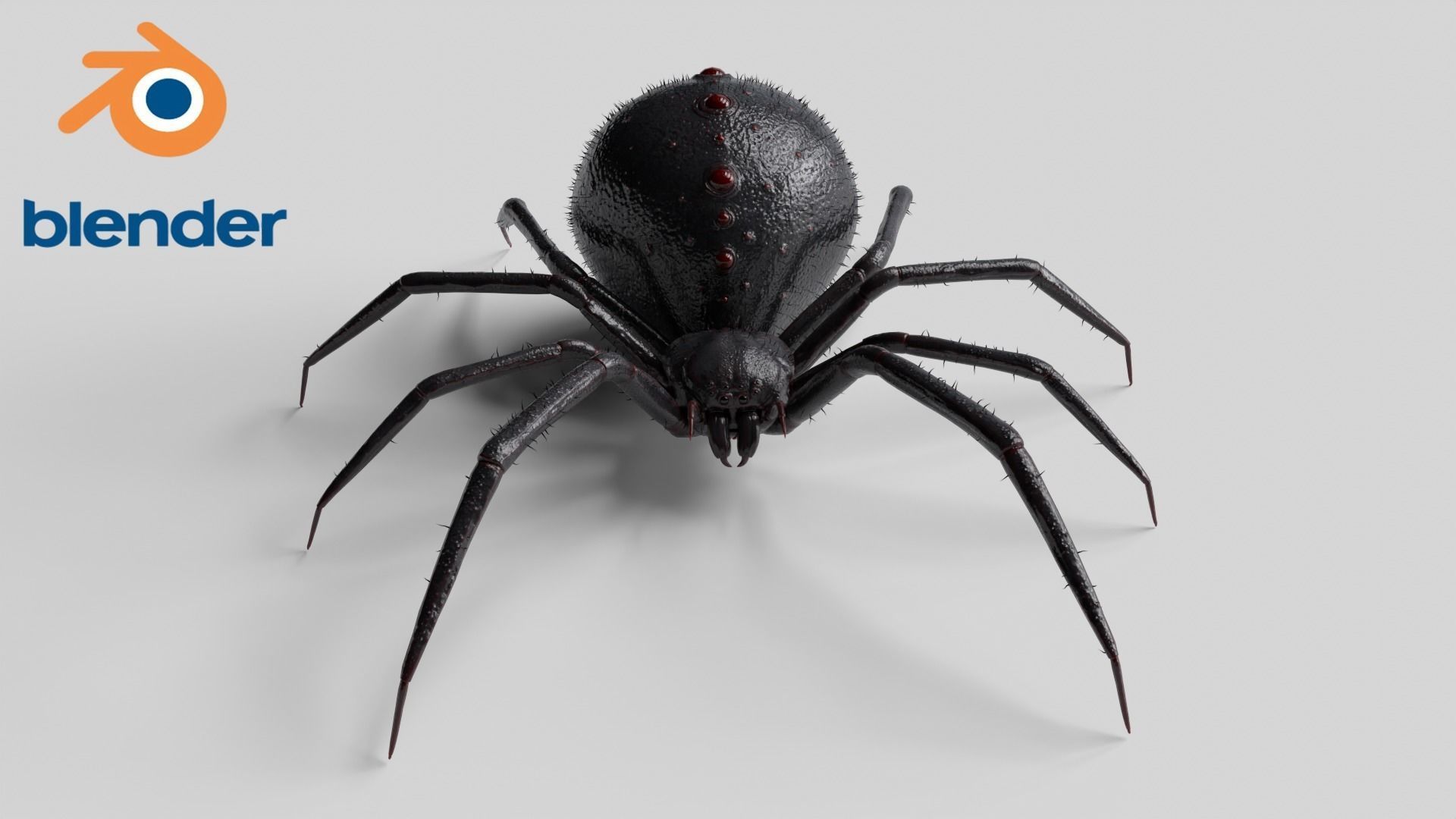 Spider 3 poses Low-poly 3D model_11