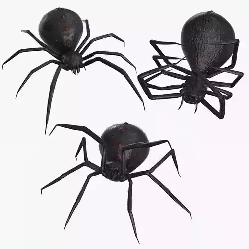 Spider 3 poses Low-poly 3D model