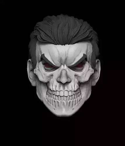 THE PUNISHER SKULL