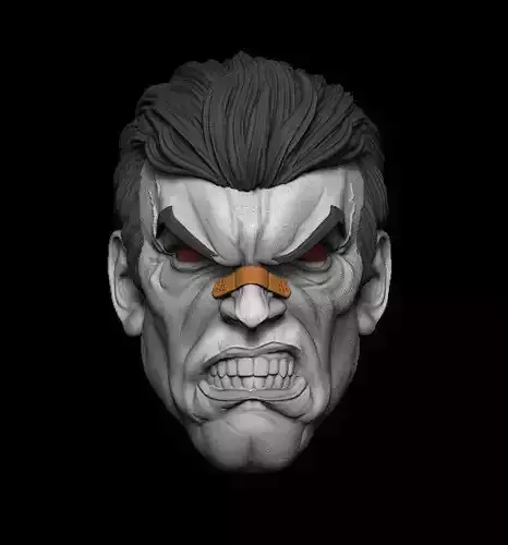 PUNISHER ANGRY FACE  3D model