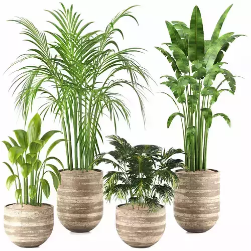 Indoor Plants in Ferm Living Bau Pot Large - Set025