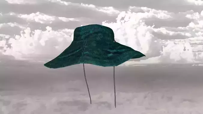 explorer hat